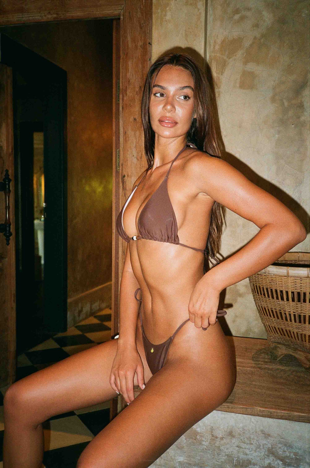 Arianne Brown Bikini